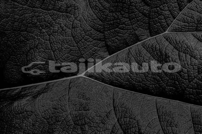Big with watermark image