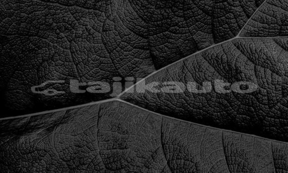 Medium with watermark image