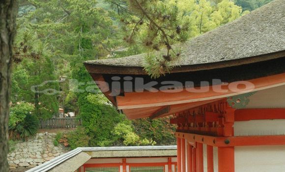 Medium with watermark image