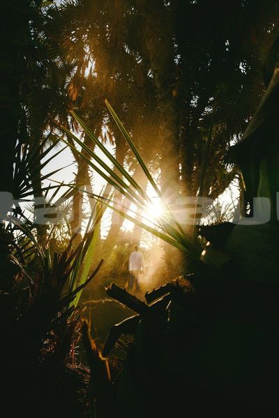 Big with watermark image