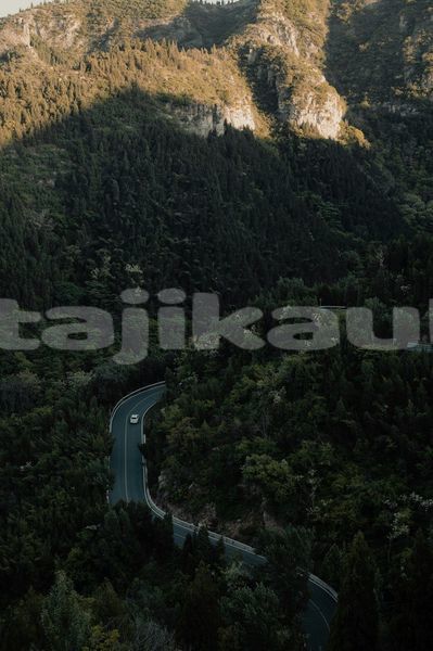Big with watermark image