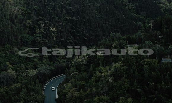 Medium with watermark image