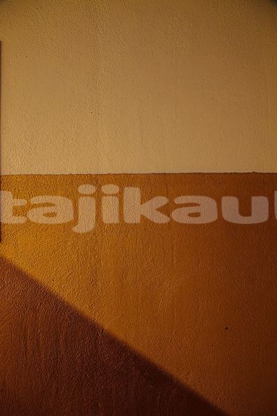 Big with watermark image