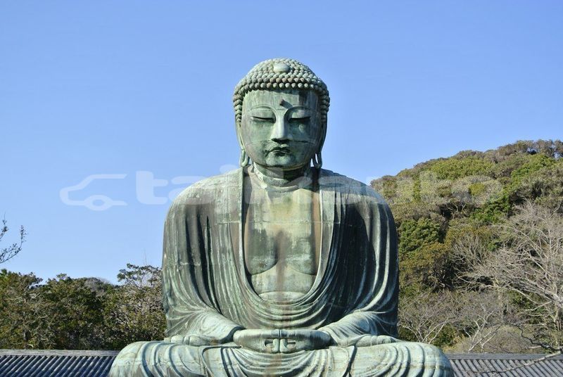 Big with watermark image