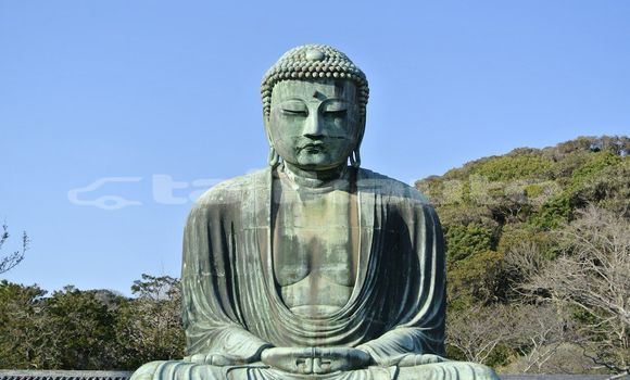 Medium with watermark image