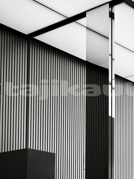 Big with watermark image
