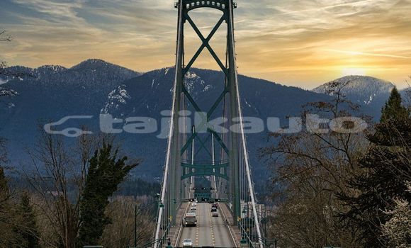 Medium with watermark image