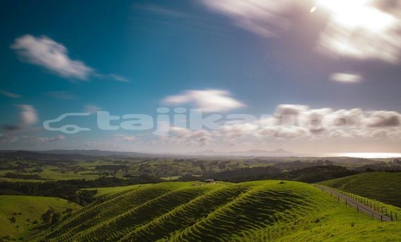 Medium with watermark image