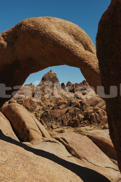 Big with watermark image