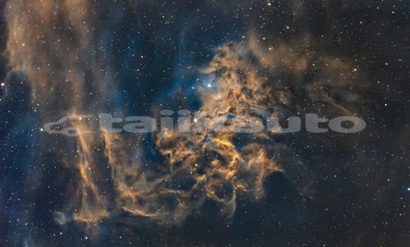 Medium with watermark image