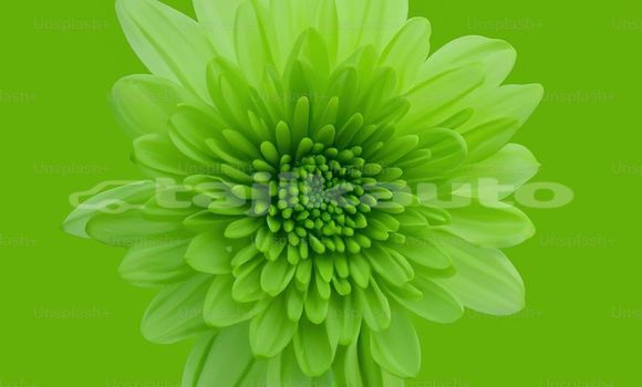 Medium with watermark image
