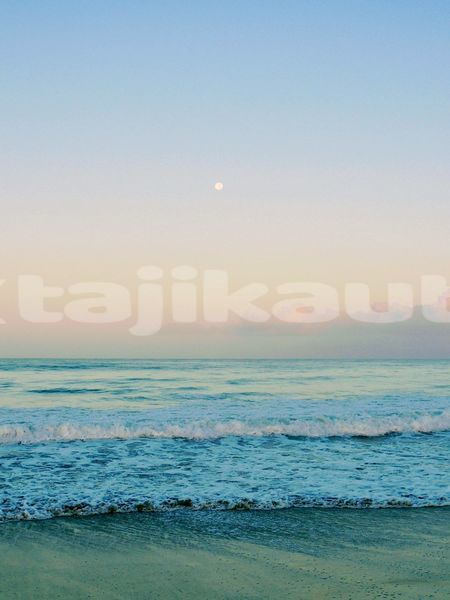 Big with watermark image