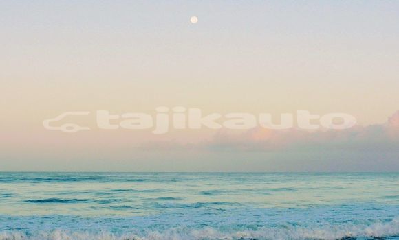 Medium with watermark image