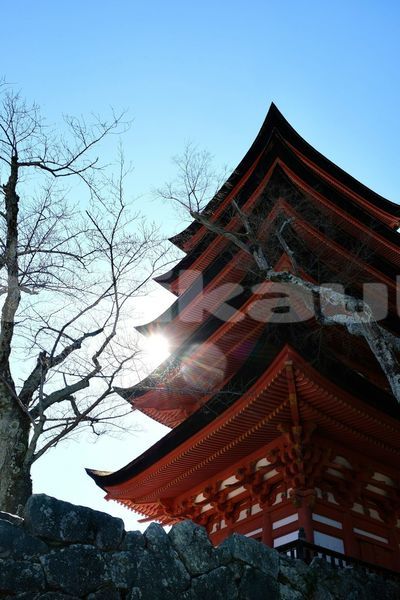 Big with watermark image