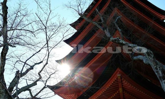 Medium with watermark image