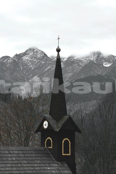 Big with watermark image