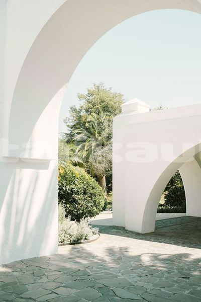 Big with watermark image