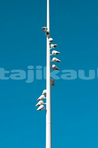 Big with watermark image