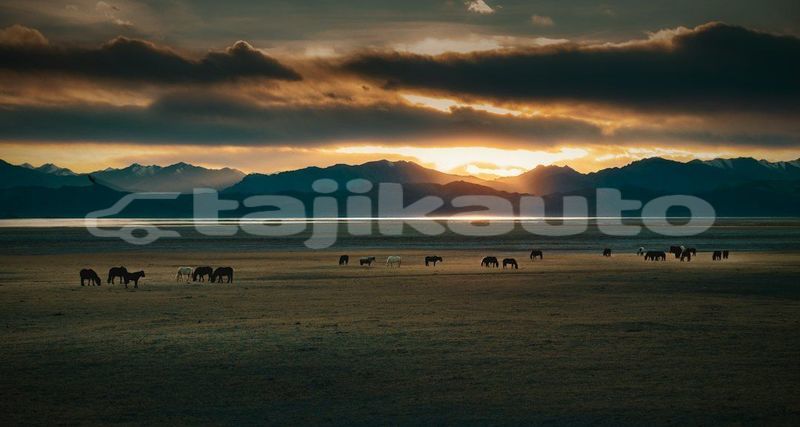 Big with watermark image