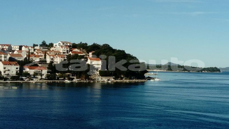 Big with watermark image