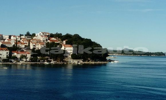 Medium with watermark image