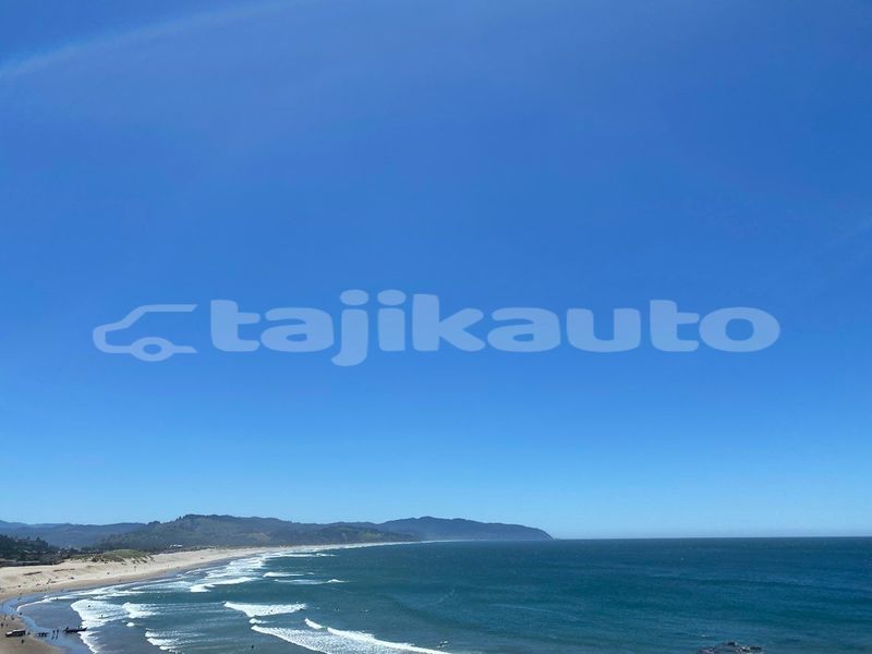 Big with watermark image