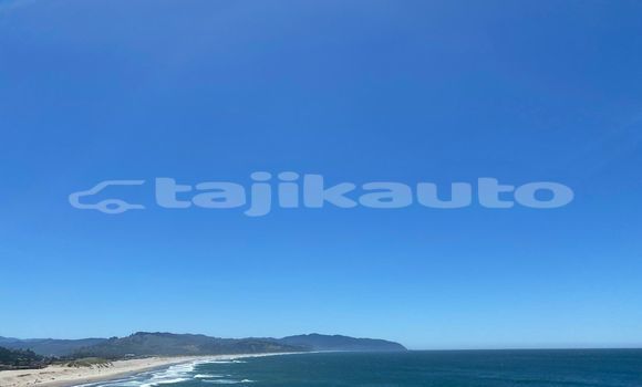 Medium with watermark image