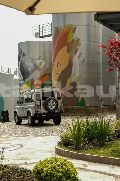 Big with watermark image