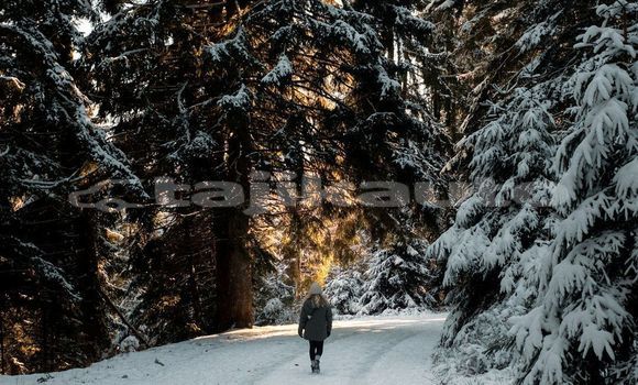 Medium with watermark image