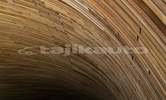 Medium with watermark image