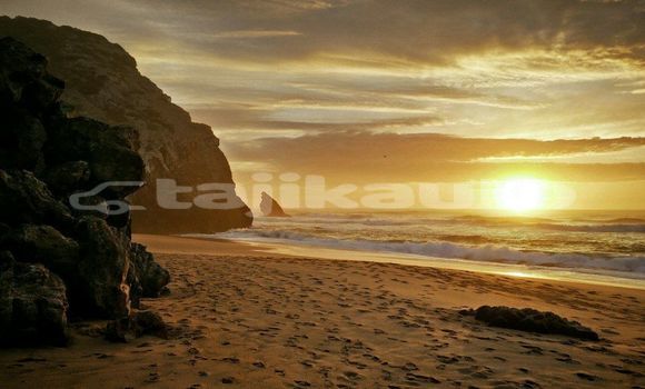 Medium with watermark image