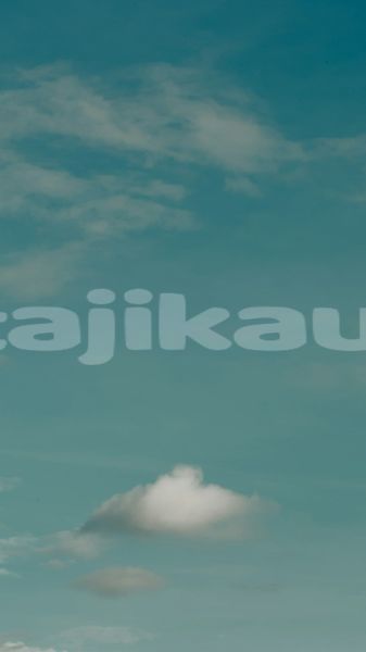 Big with watermark image