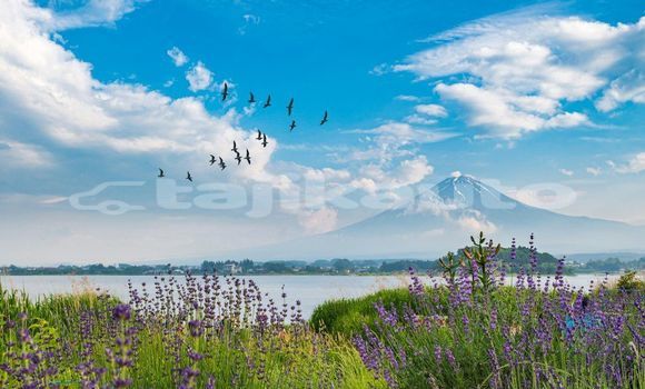 Medium with watermark image