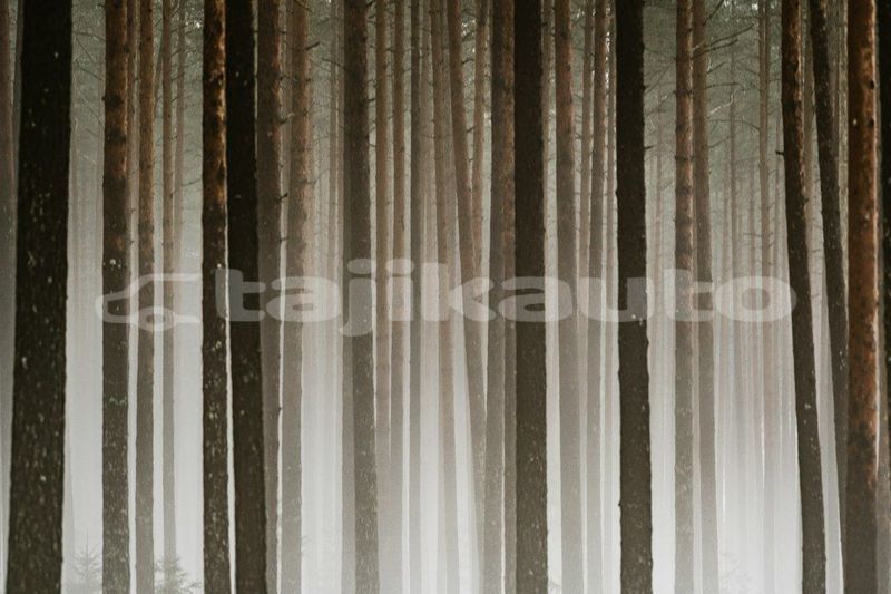 Big with watermark image