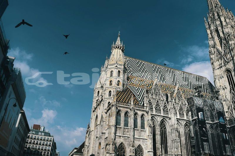 Big with watermark image