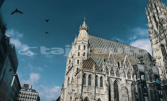 Medium with watermark image