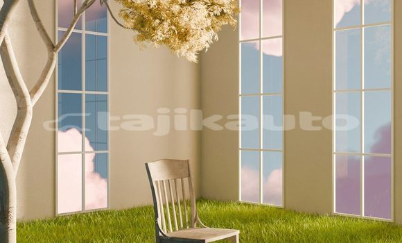 Medium with watermark image