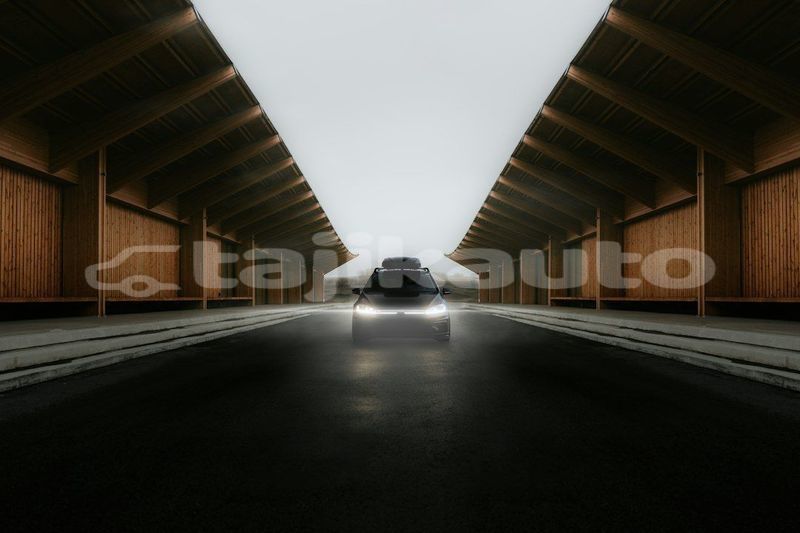 Big with watermark image