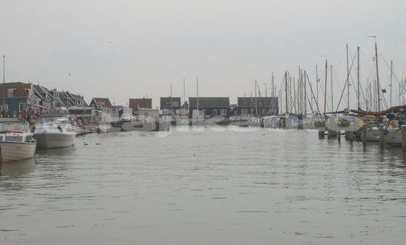 Medium with watermark image