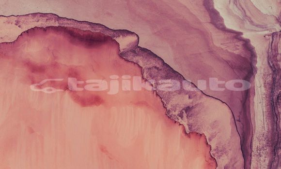 Medium with watermark image