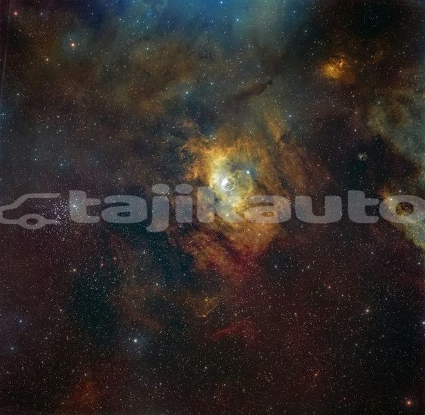 Big with watermark image
