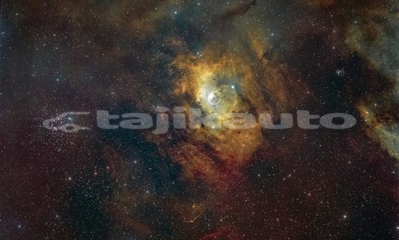 Medium with watermark image
