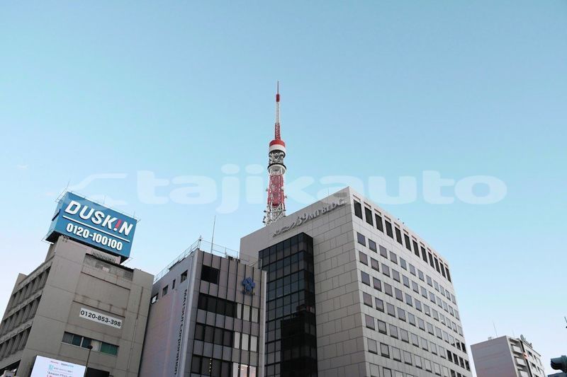 Big with watermark image