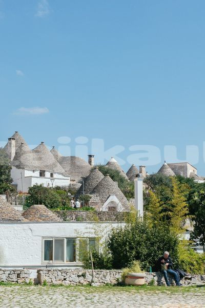 Big with watermark image