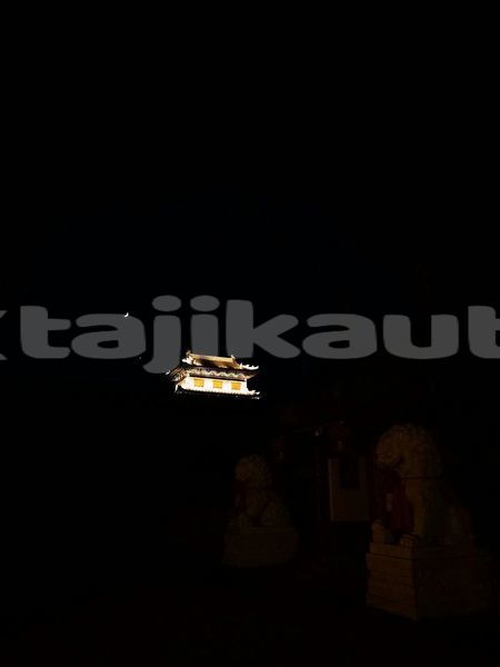 Big with watermark image