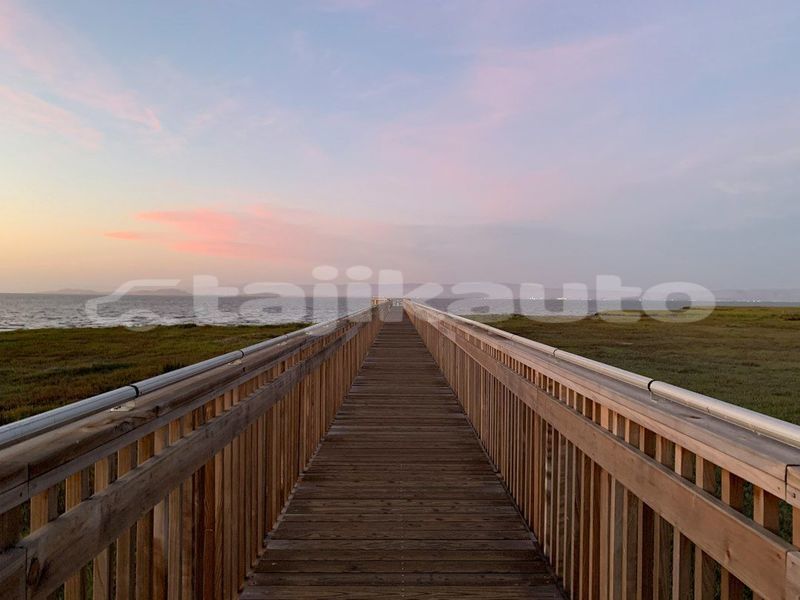 Big with watermark image