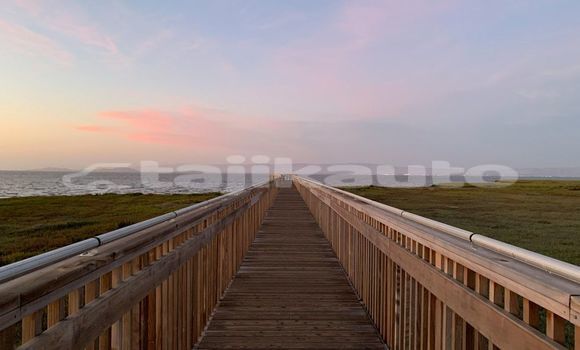 Medium with watermark image
