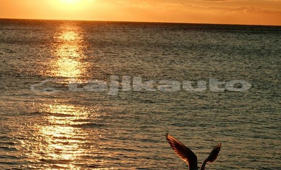 Medium with watermark image