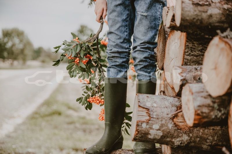 Big with watermark image