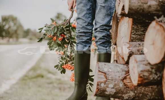 Medium with watermark image